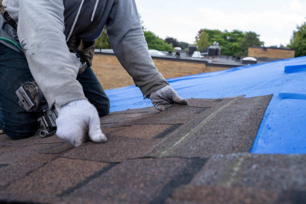 Best Roof Gutter Cleaning  in Sandwich, IL