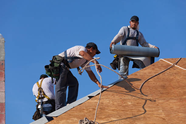 Best Commercial Roofing Services  in Sandwich, IL