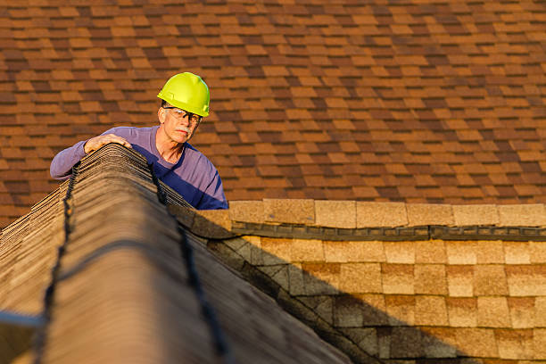 Professional Roofing Contractor in Sandwich, IL