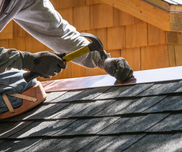 Best Roof Leak Repair  in Sandwich, IL
